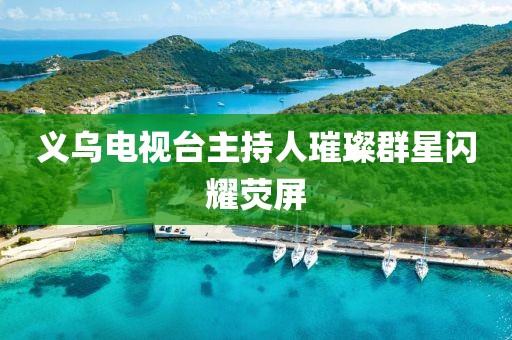 义乌电视台主持人璀璨群星闪耀荧屏