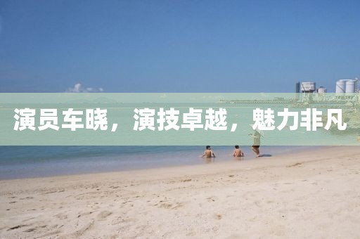 演员车晓，演技卓越，魅力非凡