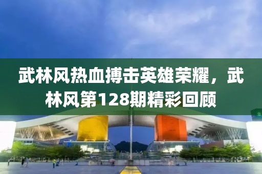 武林风热血搏击英雄荣耀，武林风第128期精彩回顾