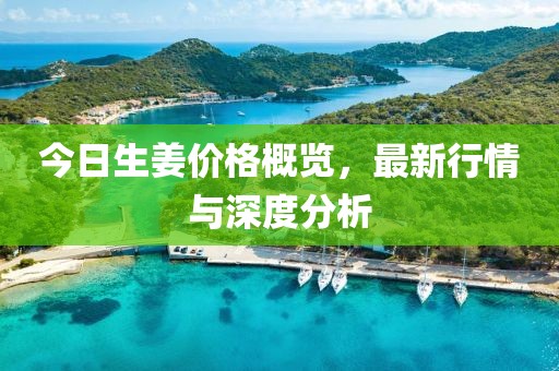 今日生姜价格概览，最新行情与深度分析