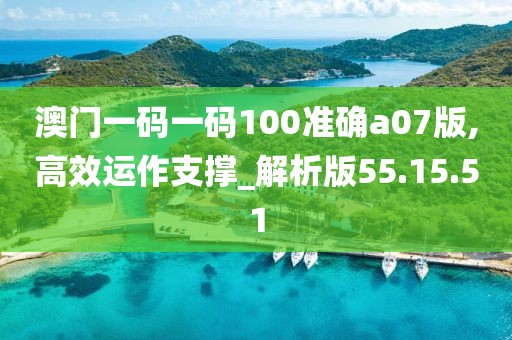 澳门一码一码100准确a07版,高效运作支撑_解析版55.15.51