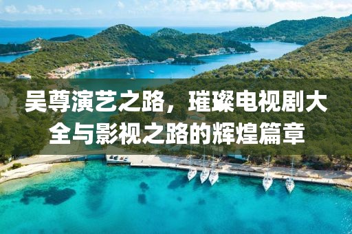 吴尊演艺之路，璀璨电视剧大全与影视之路的辉煌篇章