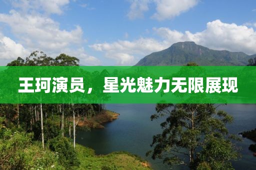 王珂演员，星光魅力无限展现