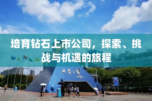 培育钻石上市公司，探索、挑战与机遇的旅程