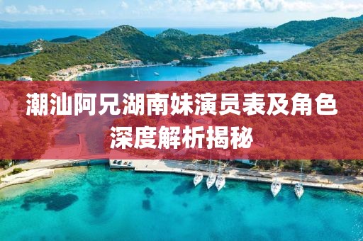 潮汕阿兄湖南妹演员表及角色深度解析揭秘