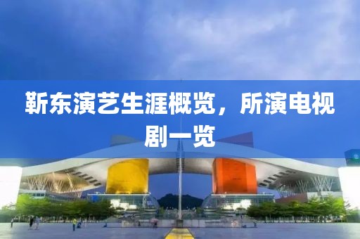 靳东演艺生涯概览，所演电视剧一览