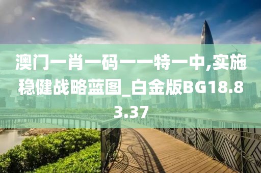 澳门一肖一码一一特一中,实施稳健战略蓝图_白金版BG18.83.37