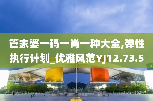 管家婆一码一肖一种大全,弹性执行计划_优雅风范YJ12.73.50