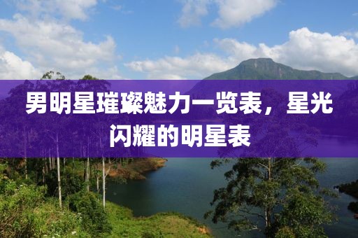 男明星璀璨魅力一览表，星光闪耀的明星表
