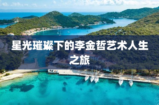 星光璀璨下的李金哲艺术人生之旅