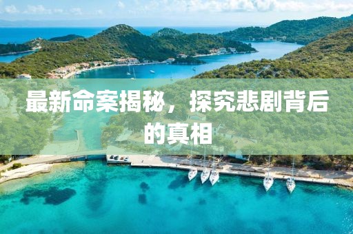 最新命案揭秘，探究悲剧背后的真相