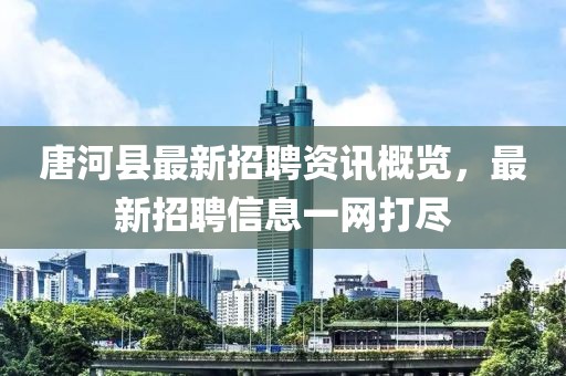 唐河县最新招聘资讯概览，最新招聘信息一网打尽