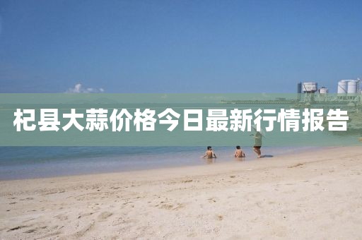 杞县大蒜价格今日最新行情报告