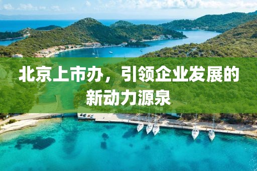 北京上市办，引领企业发展的新动力源泉