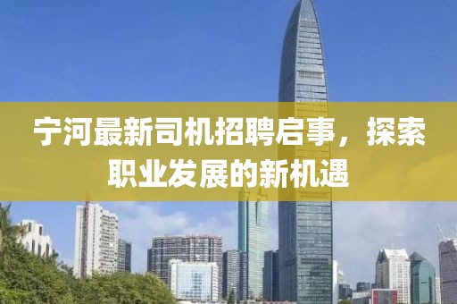 宁河最新司机招聘启事，探索职业发展的新机遇
