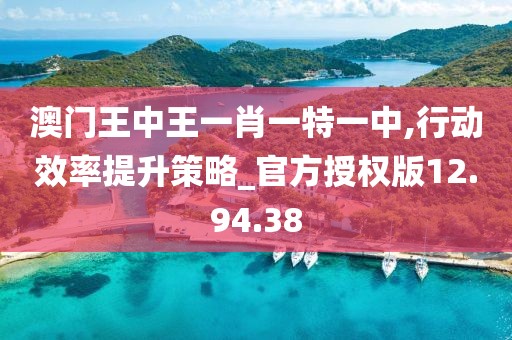 澳门王中王一肖一特一中,行动效率提升策略_官方授权版12.94.38