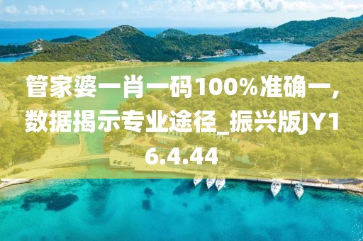 管家婆一肖一码100%准确一,数据揭示专业途径_振兴版JY16.4.44