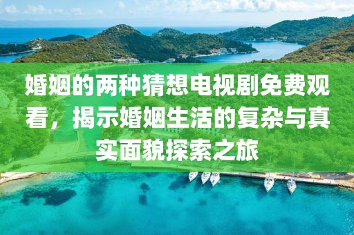 婚姻的两种猜想电视剧免费观看，揭示婚姻生活的复杂与真实面貌探索之旅