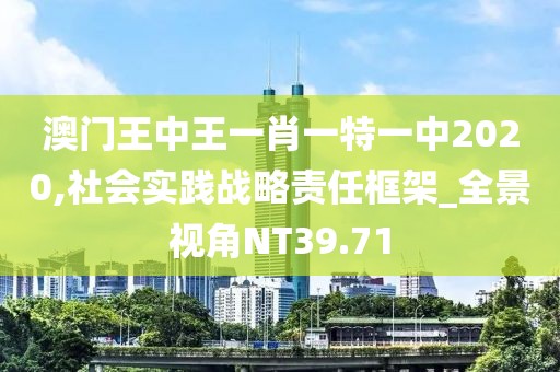 澳门王中王一肖一特一中2020,社会实践战略责任框架_全景视角NT39.71