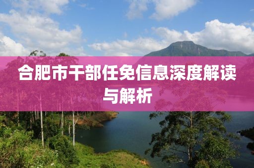 合肥市干部任免信息深度解读与解析