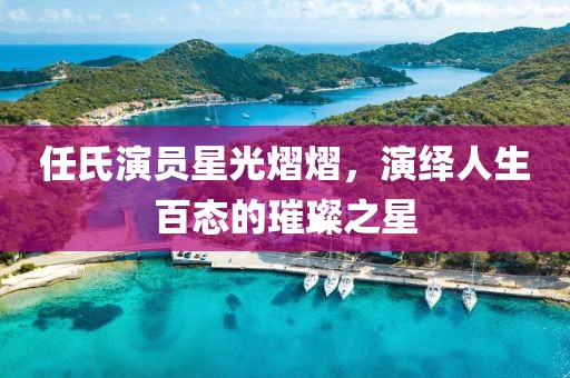 任氏演员星光熠熠，演绎人生百态的璀璨之星