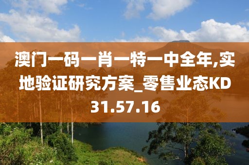 澳门一码一肖一特一中全年,实地验证研究方案_零售业态KD31.57.16