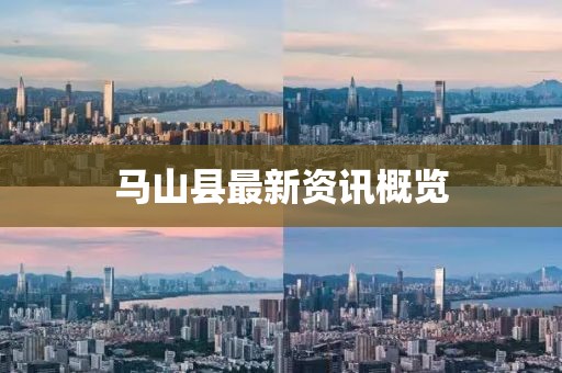 马山县最新资讯概览