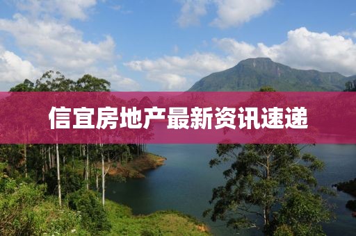 信宜房地产最新资讯速递