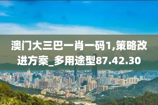 澳门大三巴一肖一码1,策略改进方案_多用途型87.42.30