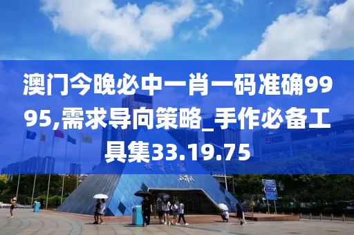 澳门今晚必中一肖一码准确9995,需求导向策略_手作必备工具集33.19.75