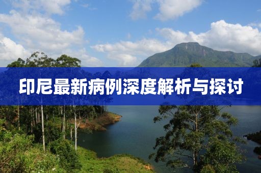 印尼最新病例深度解析与探讨