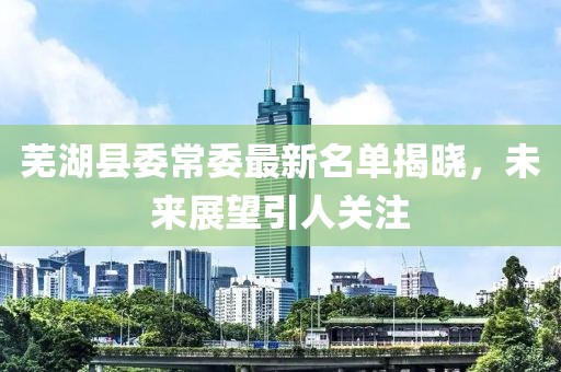 芜湖县委常委最新名单揭晓，未来展望引人关注