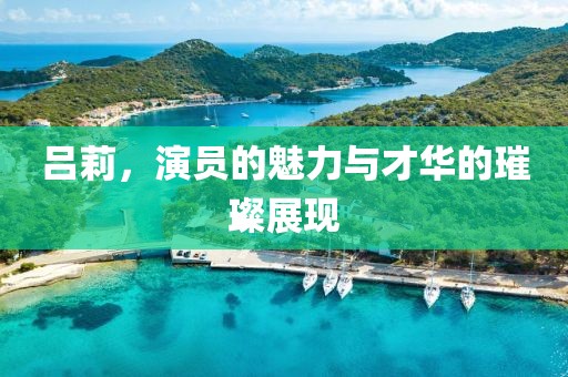 吕莉，演员的魅力与才华的璀璨展现