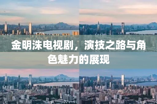 金明洙电视剧，演技之路与角色魅力的展现