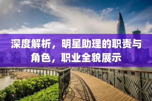 深度解析，明星助理的职责与角色，职业全貌展示