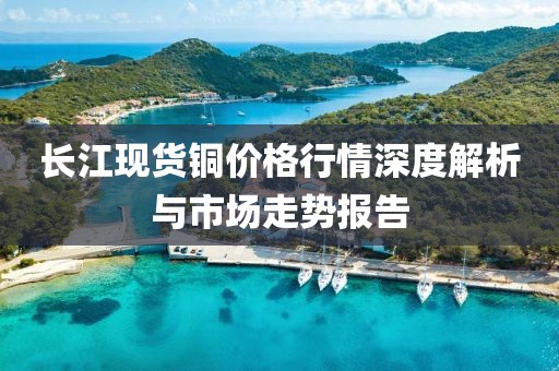 长江现货铜价格行情深度解析与市场走势报告