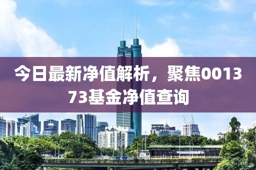 今日最新净值解析，聚焦001373基金净值查询