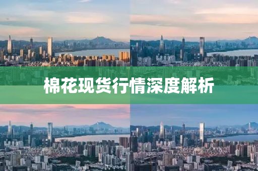 棉花现货行情深度解析