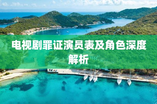 电视剧罪证演员表及角色深度解析