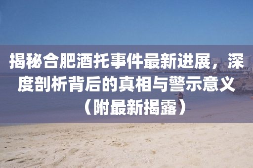 揭秘合肥酒托事件最新进展，深度剖析背后的真相与警示意义（附最新揭露）