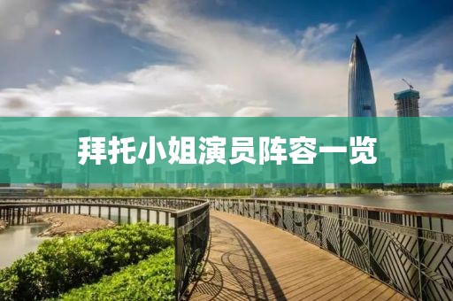 拜托小姐演员阵容一览