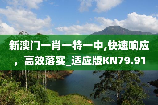 新澳门一肖一特一中,快速响应，高效落实_适应版KN79.91
