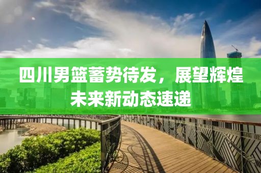 四川男篮蓄势待发，展望辉煌未来新动态速递