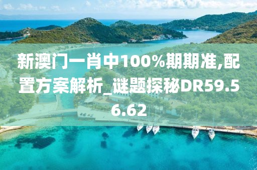 新澳门一肖中100%期期准,配置方案解析_谜题探秘DR59.56.62