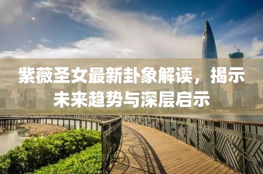 紫薇圣女最新卦象解读，揭示未来趋势与深层启示