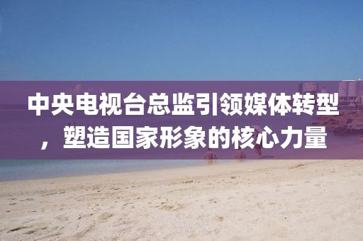 中央电视台总监引领媒体转型，塑造国家形象的核心力量