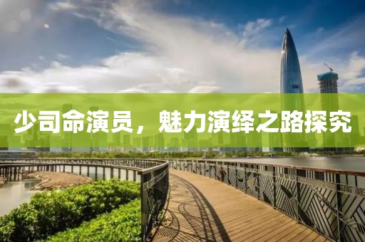 少司命演员，魅力演绎之路探究