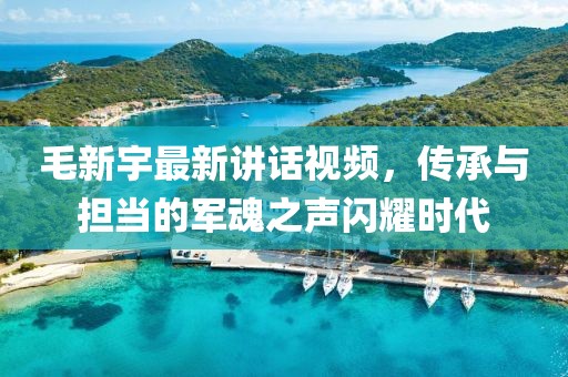 毛新宇最新讲话视频，传承与担当的军魂之声闪耀时代