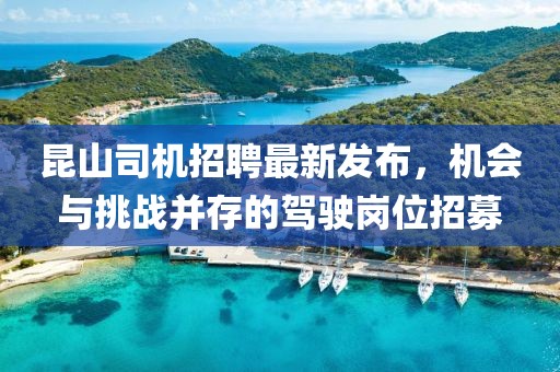 昆山司机招聘最新发布，机会与挑战并存的驾驶岗位招募