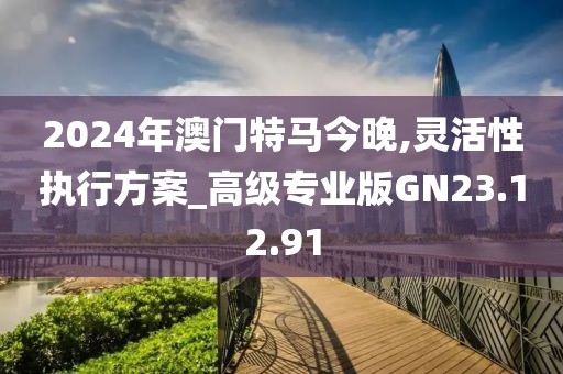 2024年澳门特马今晚,灵活性执行方案_高级专业版GN23.12.91